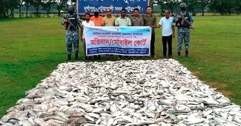 মাছ-জাটকাসহ আটক ৩